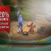 Promozione Stagionale AzerothShard!